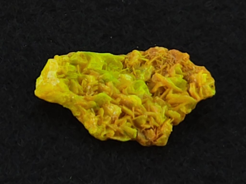 Autunite Crystal in Perky Box , 840mg – Fluorescent Uranium Ore