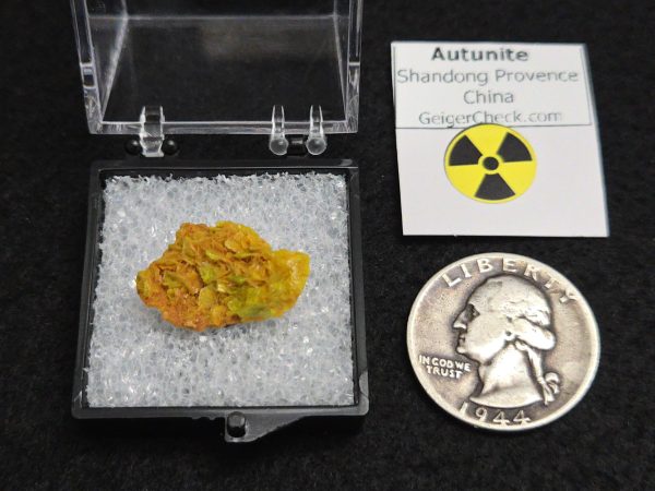 Autunite Crystal in Perky Box , 840mg – Fluorescent Uranium Ore - Image 7