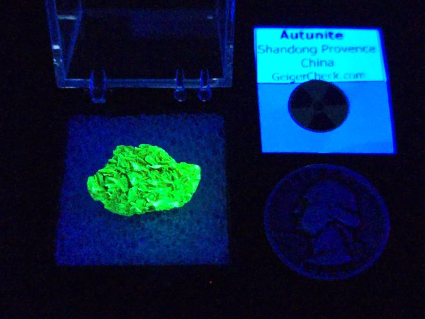Autunite Crystal in Perky Box , 840mg – Fluorescent Uranium Ore - Image 8