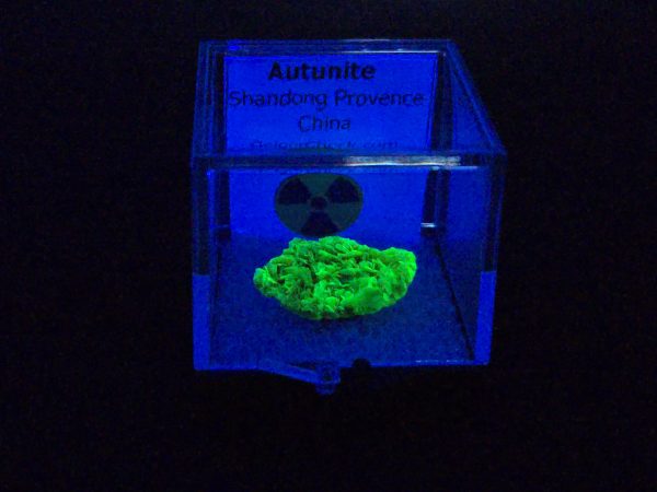 Autunite Crystal in Perky Box , 840mg – Fluorescent Uranium Ore - Image 10