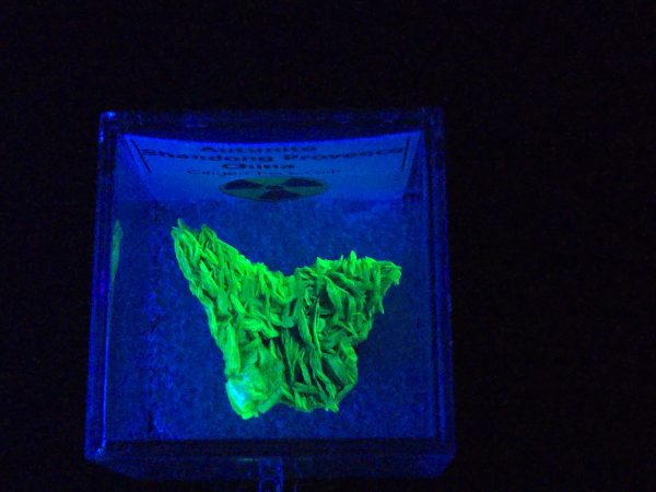 Autunite / Meta-autunite Crystal Fluorescent Uranium Ore, 3 Grams