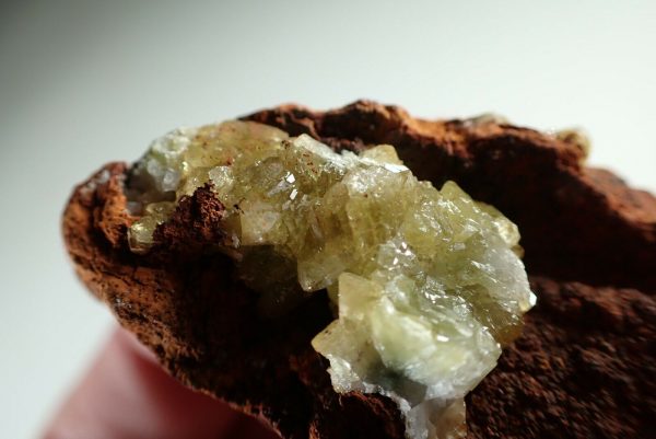 Adamite & Austinite Crystals on Matrix Ojuela Mine, Mexico - Image 4