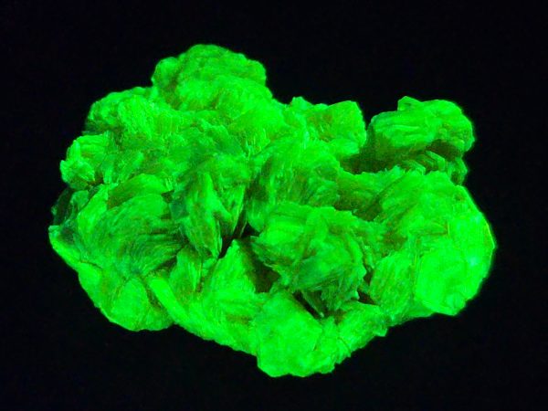 Autunite Crystal in Perky Box, 5.8 Grams – Fluorescent Uranium Ore - Image 7