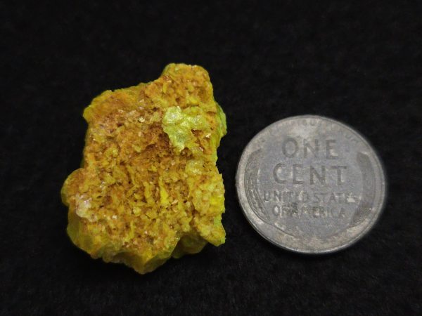 Autunite Crystal in Perky Box, 5.8 Grams – Fluorescent Uranium Ore - Image 12