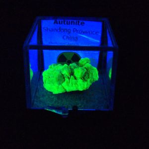 Autunite Crystal in Perky Box , 840mg – Fluorescent Uranium Ore 5.8 Grams