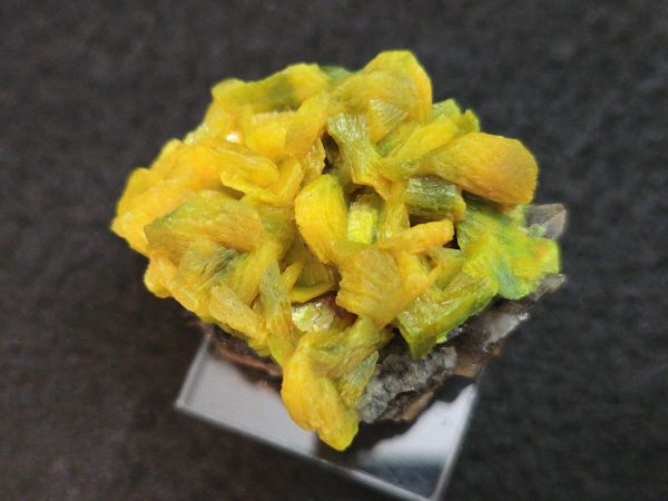 Autunite / Meta- Autunite on Matrix , 19 Grams - Fluorescent Uranium Ore