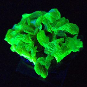 Autunite / Meta- Autunite on Matrix , 19 Grams - Fluorescent Uranium Ore