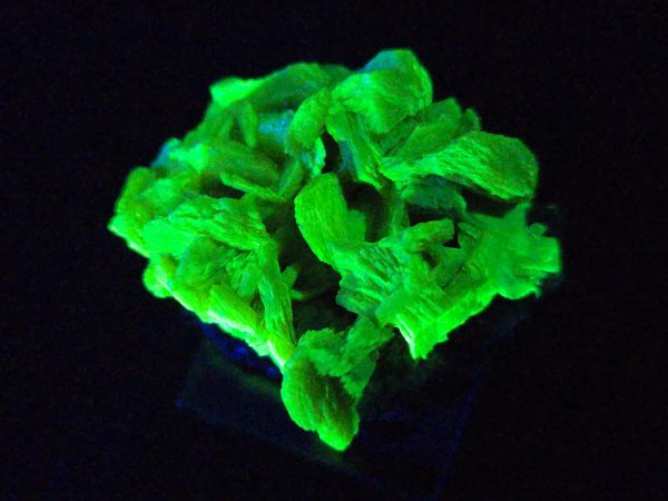 Autunite / Meta- Autunite on Matrix , 19 Grams - Fluorescent Uranium Ore