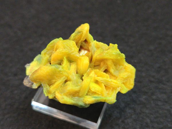 Autunite / Meta- Autunite on Matrix , 19 Grams - Fluorescent Uranium Ore - Image 5