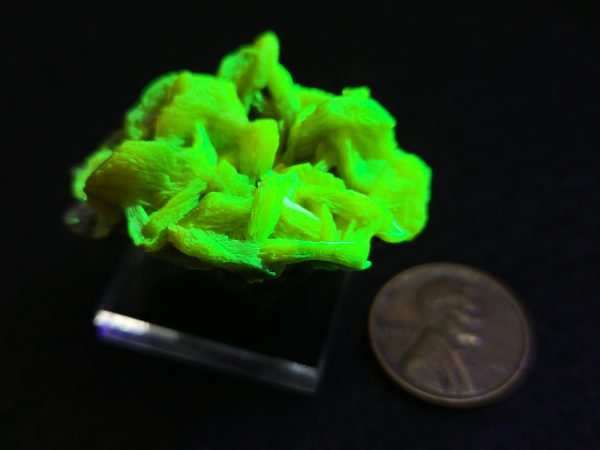 Autunite / Meta- Autunite on Matrix , 19 Grams - Fluorescent Uranium Ore - Image 13