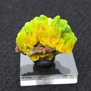 Autunite Crystals on Matrix in Perky Box, 7.9 Grams – Fluorescent Uranium Ore