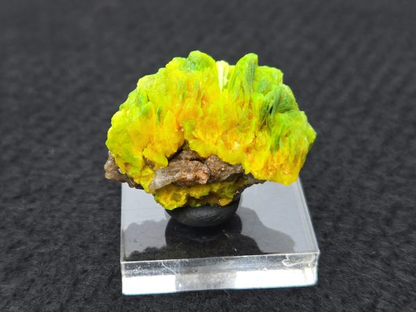 Autunite Crystals on Matrix in Perky Box, 7.9 Grams – Fluorescent Uranium Ore