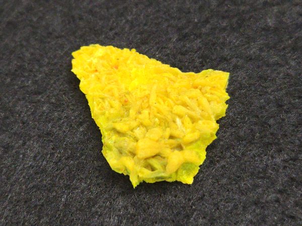 Autunite Crystal in Perky Box, 2.4 Grams – Fluorescent Uranium Ore