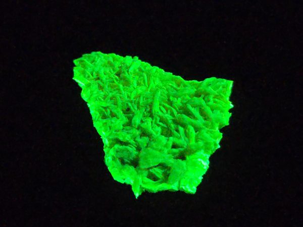 Autunite Crystal in Perky Box, 2.4 Grams – Fluorescent Uranium Ore - Image 3