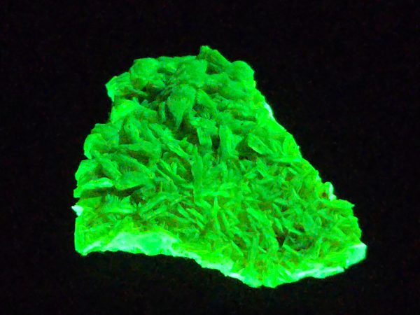 Autunite Crystal in Perky Box, 2.4 Grams – Fluorescent Uranium Ore - Image 5