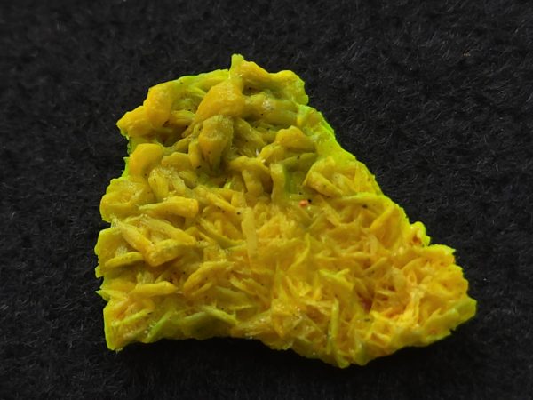Autunite Crystal in Perky Box, 2.4 Grams – Fluorescent Uranium Ore - Image 6