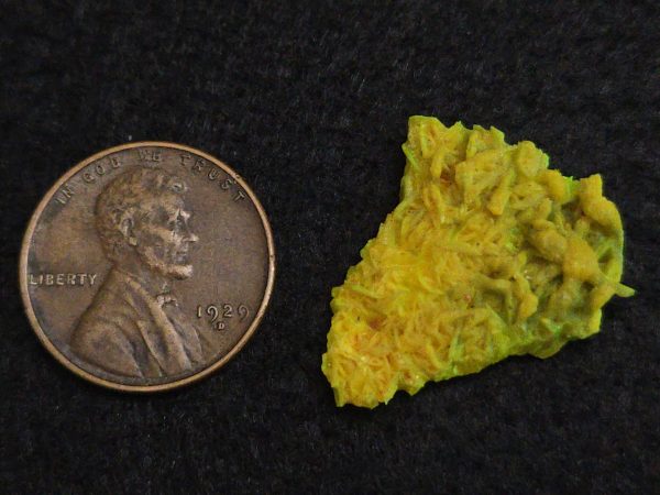 Autunite Crystal in Perky Box, 2.4 Grams – Fluorescent Uranium Ore - Image 8