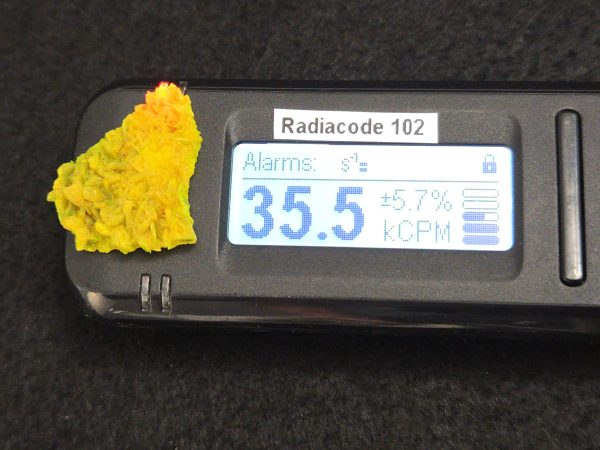 Autunite Crystal in Perky Box, 2.4 Grams – Fluorescent Uranium Ore - Image 11