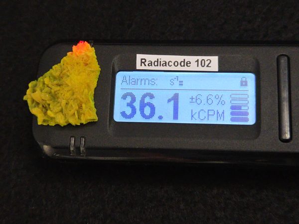 Autunite Crystal in Perky Box, 2.4 Grams – Fluorescent Uranium Ore - Image 12