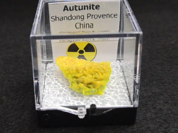 Autunite Crystal in Perky Box, 2.4 Grams – Fluorescent Uranium Ore