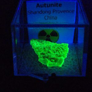 Autunite Crystal in Perky Box, 2.4 Grams – Fluorescent Uranium Ore