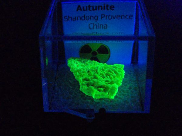 Autunite Crystal in Perky Box, 2.4 Grams – Fluorescent Uranium Ore
