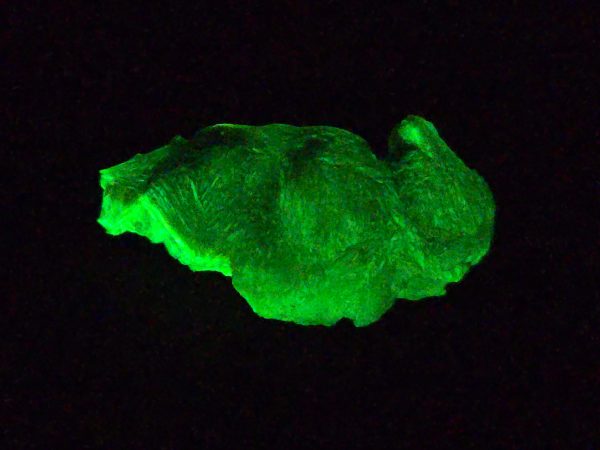 Autunite Crystal in Perky Box, 4.2 Grams – Fluorescent Uranium Ore