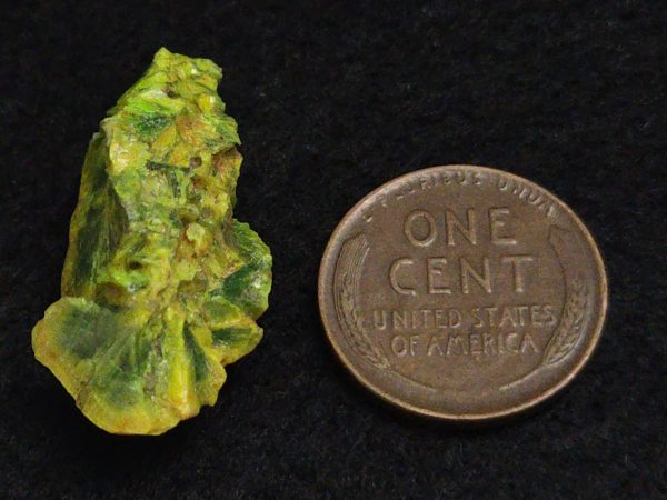 Autunite Crystal in Perky Box, 4.2 Grams – Fluorescent Uranium Ore - Image 10