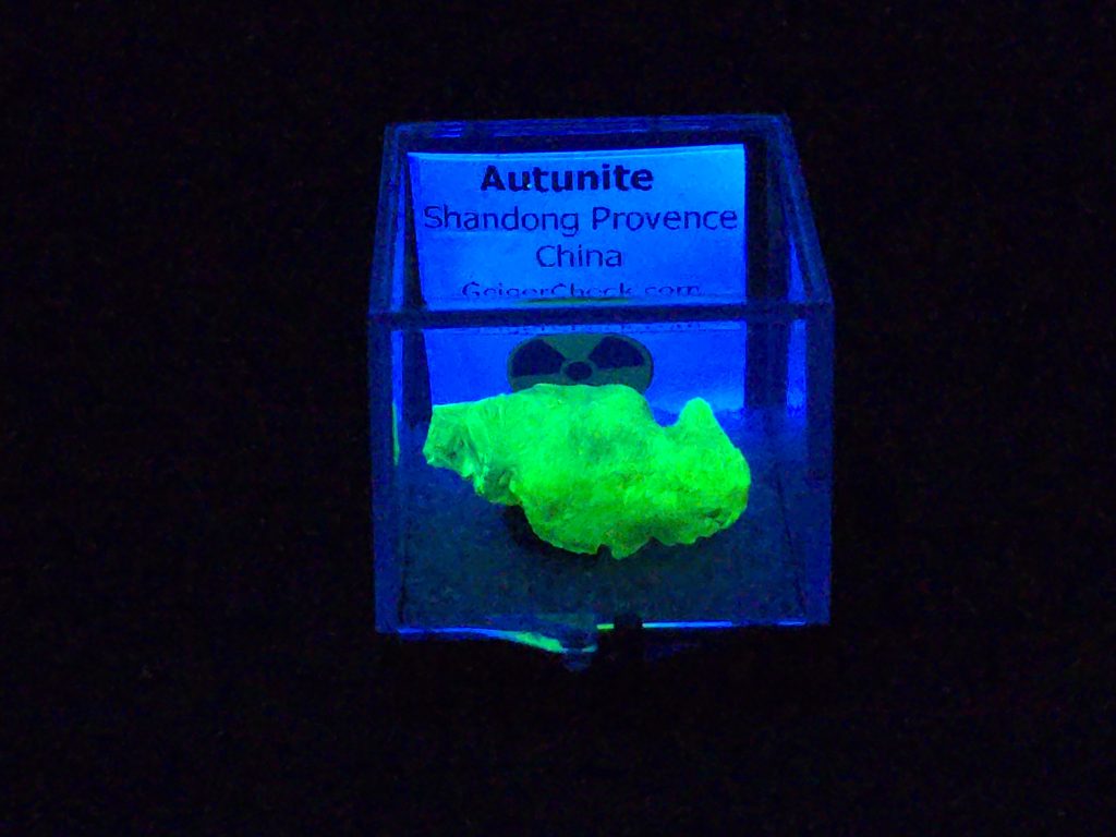 Autunite Crystal in Perky Box, 4.2 Grams – Fluorescent Uranium Ore