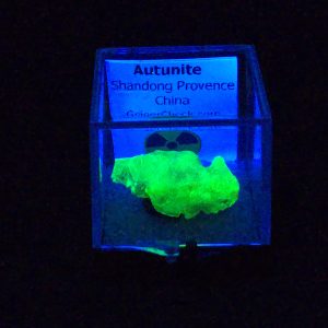 Autunite Crystal in Perky Box, 4.2 Grams – Fluorescent Uranium Ore