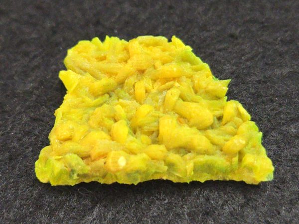Autunite Crystal in Perky Box, 2.7 Grams – Fluorescent Uranium Ore - Image 5