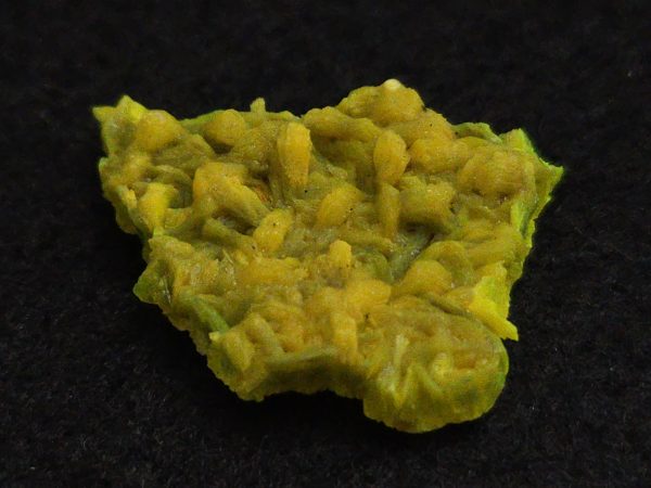 Autunite Crystal in Perky Box, 2.7 Grams – Fluorescent Uranium Ore - Image 4