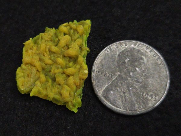 Autunite Crystal in Perky Box, 2.7 Grams – Fluorescent Uranium Ore - Image 13