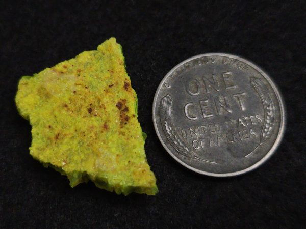 Autunite Crystal in Perky Box, 2.7 Grams – Fluorescent Uranium Ore - Image 14