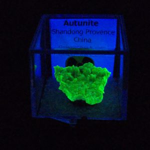 Autunite Crystal in Perky Box, 2.7 Grams – Fluorescent Uranium Ore