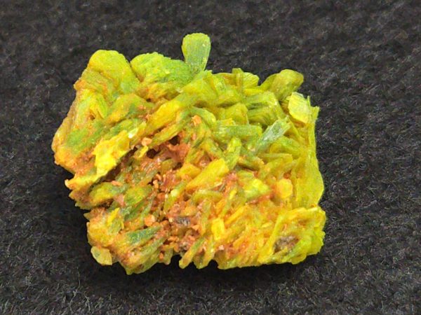 Autunite Crystal in Perky Box, 2.9 Grams – Fluorescent Uranium Ore