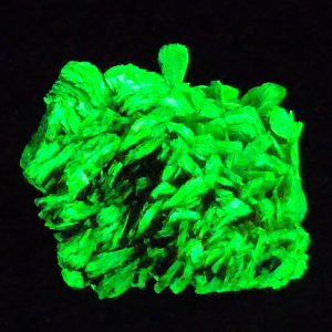 Autunite Crystal in Perky Box, 2.9 Grams – Fluorescent Uranium Ore