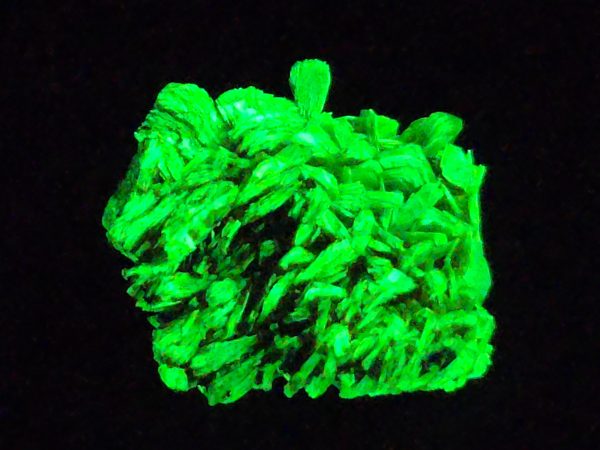 Autunite Crystal in Perky Box, 2.9 Grams – Fluorescent Uranium Ore