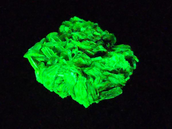 Autunite Crystal in Perky Box, 2.9 Grams – Fluorescent Uranium Ore - Image 5