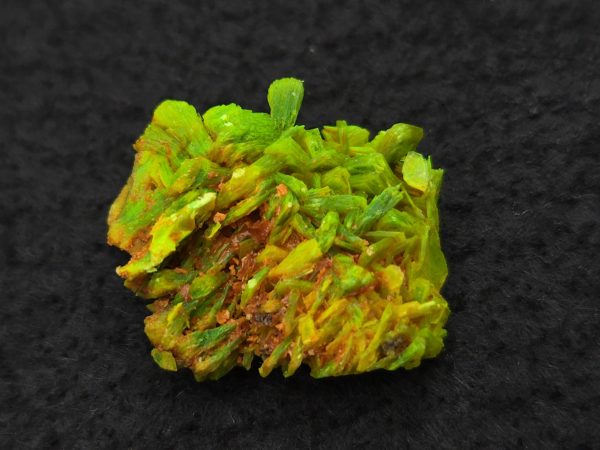 Autunite Crystal in Perky Box, 2.9 Grams – Fluorescent Uranium Ore - Image 3