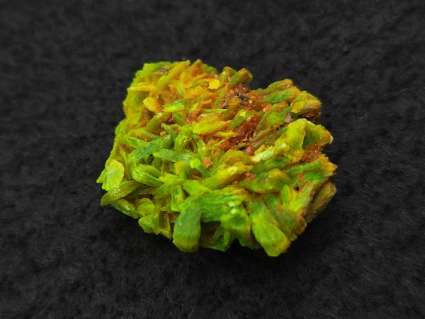 Autunite Crystal in Perky Box, 2.9 Grams – Fluorescent Uranium Ore - Image 6