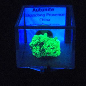 Autunite Crystal in Perky Box, 2.9 Grams – Fluorescent Uranium Ore
