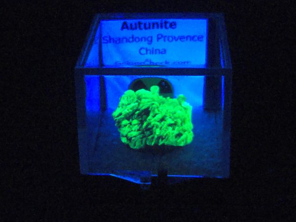 Autunite Crystal in Perky Box, 2.9 Grams – Fluorescent Uranium Ore
