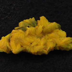 Autunite Crystal in Perky Box, 3.2 Grams – Fluorescent Uranium Ore