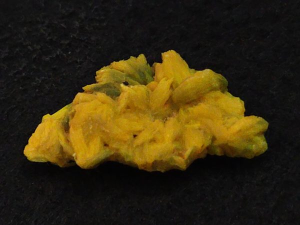 Autunite Crystal in Perky Box, 3.2 Grams – Fluorescent Uranium Ore