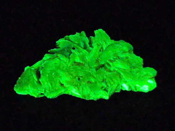 Autunite Crystal in Perky Box, 3.2 Grams – Fluorescent Uranium Ore - Image 2