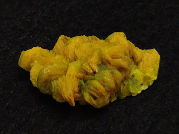 Autunite Crystal in Perky Box, 3.2 Grams – Fluorescent Uranium Ore - Image 5