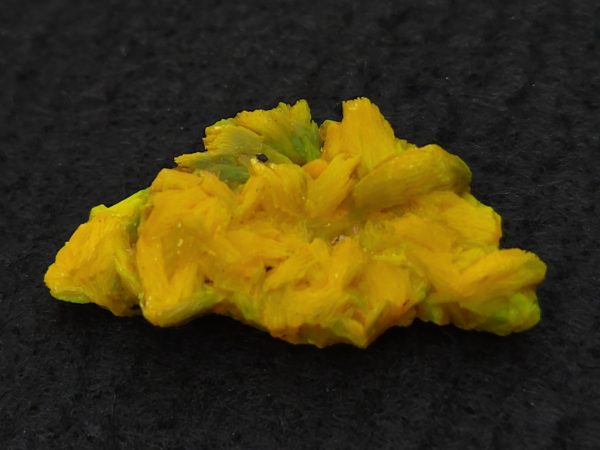 Autunite Crystal in Perky Box, 3.2 Grams – Fluorescent Uranium Ore - Image 3