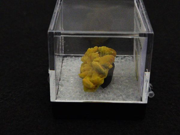 Autunite Crystal in Perky Box, 3.2 Grams – Fluorescent Uranium Ore - Image 8