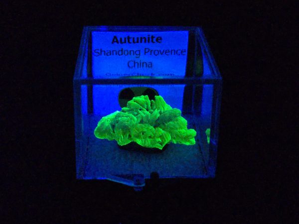Autunite Crystal in Perky Box, 3.2 Grams – Fluorescent Uranium Ore